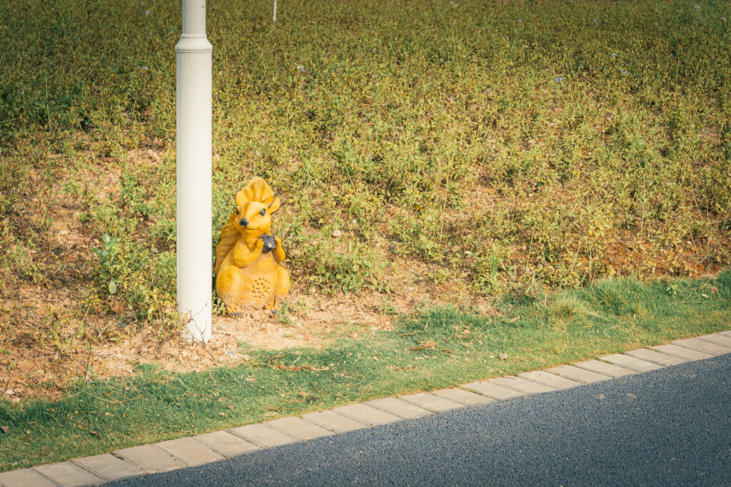 图片[4]-长安滨海湾-花海里随拍-清风小筑-雷国胜的个人网站