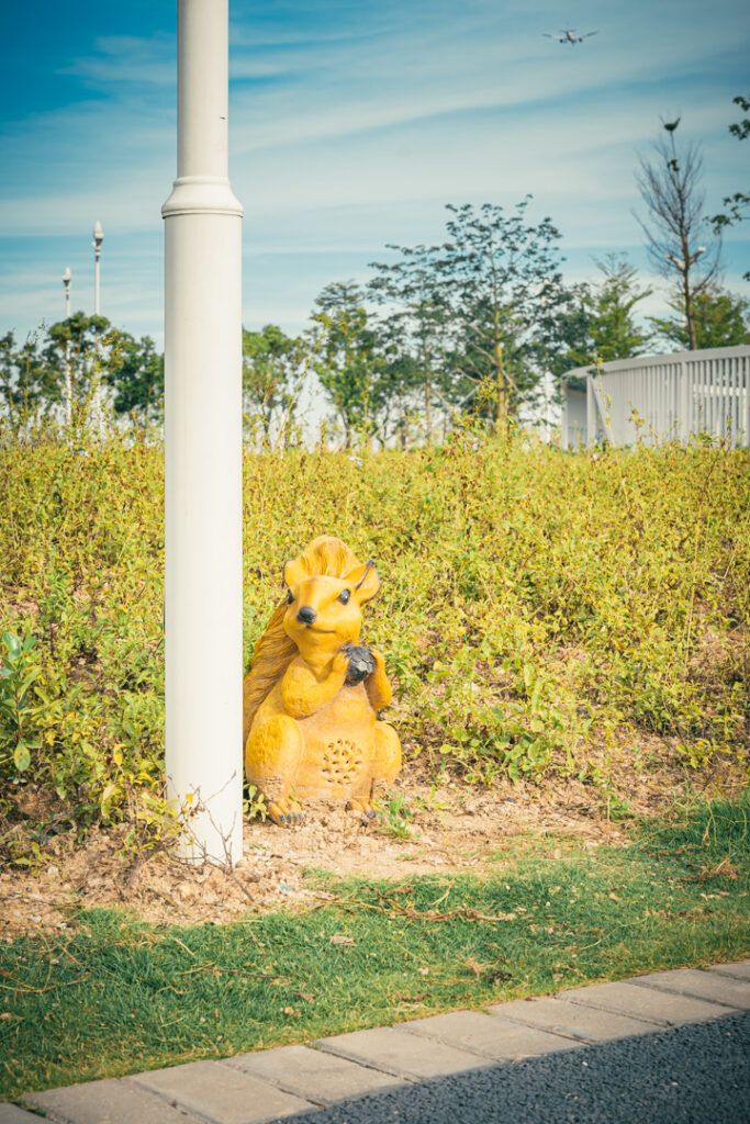 图片[5]-长安滨海湾-花海里随拍-清风小筑-雷国胜的个人网站