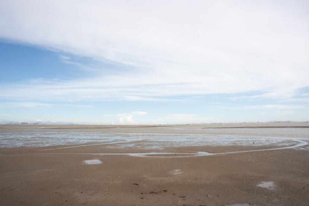 图片[7]-长安滨海湾-花海里随拍-清风小筑-雷国胜的个人网站