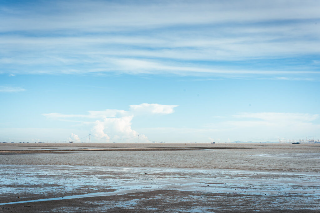 图片[8]-长安滨海湾-花海里随拍-清风小筑-雷国胜的个人网站