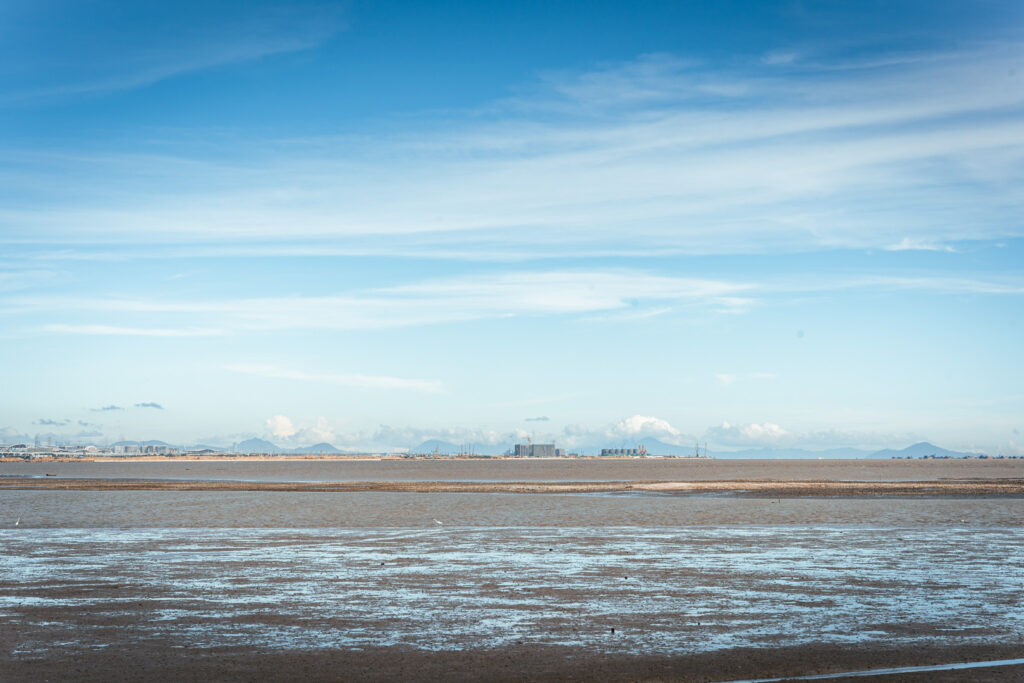图片[9]-长安滨海湾-花海里随拍-清风小筑-雷国胜的个人网站