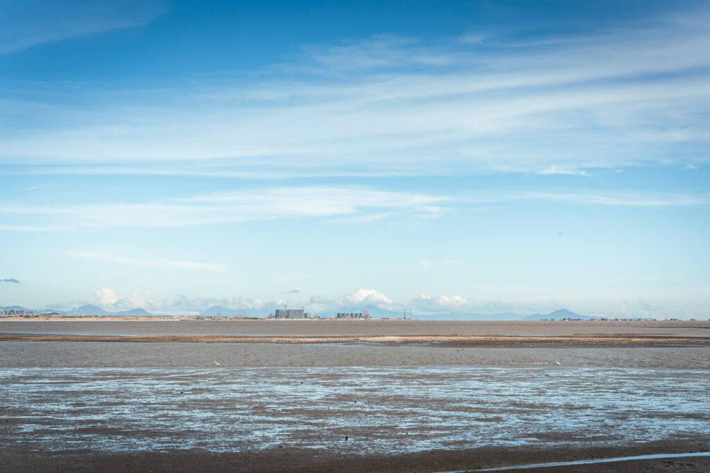 图片[11]-长安滨海湾-花海里随拍-清风小筑-雷国胜的个人网站