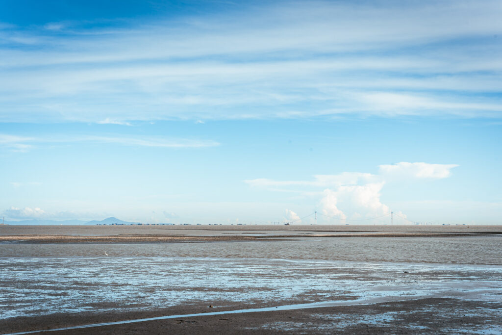 图片[12]-长安滨海湾-花海里随拍-清风小筑-雷国胜的个人网站
