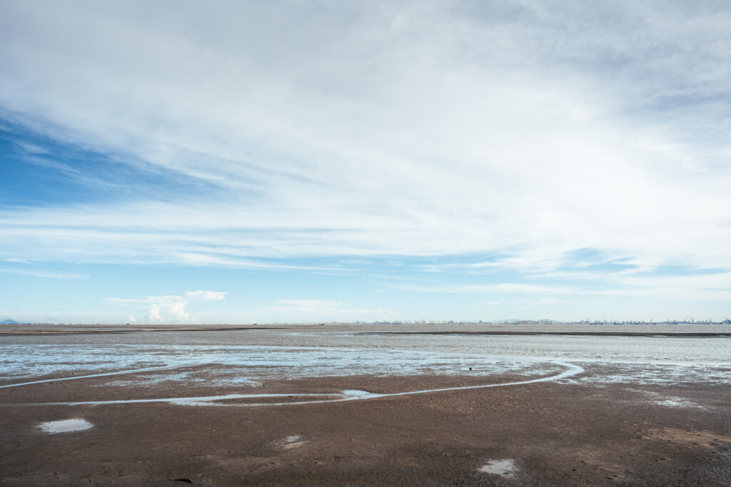 图片[13]-长安滨海湾-花海里随拍-清风小筑-雷国胜的个人网站