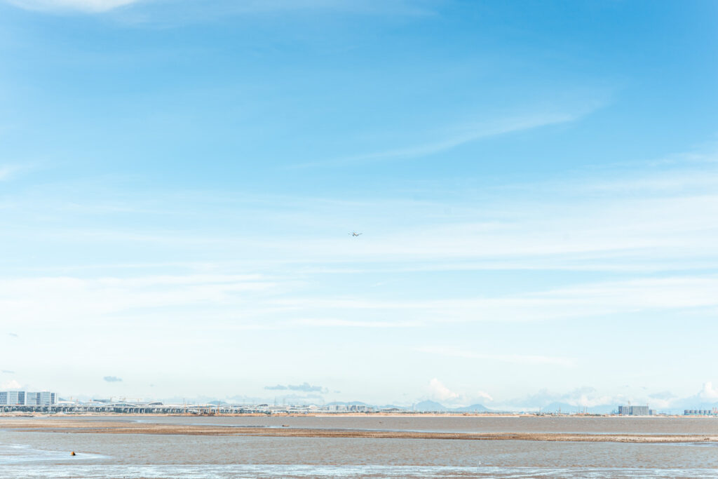 图片[14]-长安滨海湾-花海里随拍-清风小筑-雷国胜的个人网站