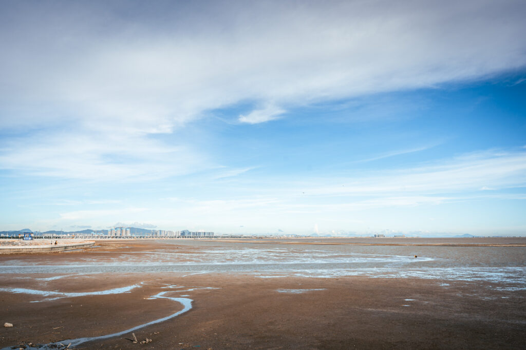 图片[16]-长安滨海湾-花海里随拍-清风小筑-雷国胜的个人网站
