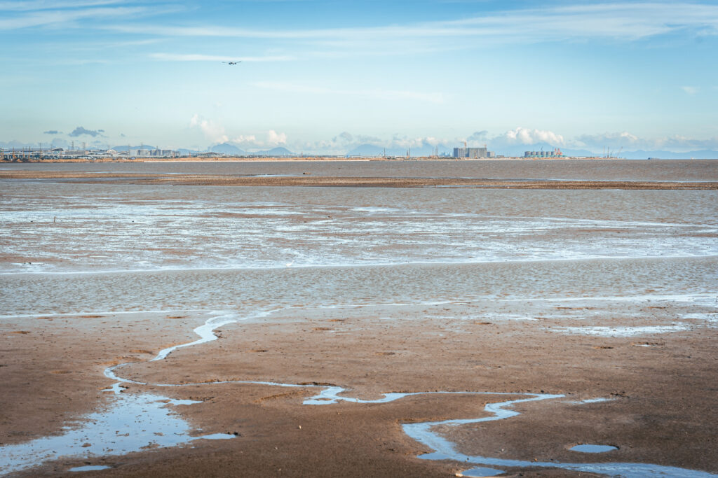 图片[17]-长安滨海湾-花海里随拍-清风小筑-雷国胜的个人网站