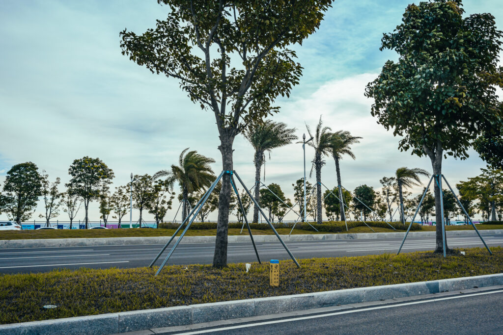 图片[21]-长安滨海湾-花海里随拍-清风小筑-雷国胜的个人网站