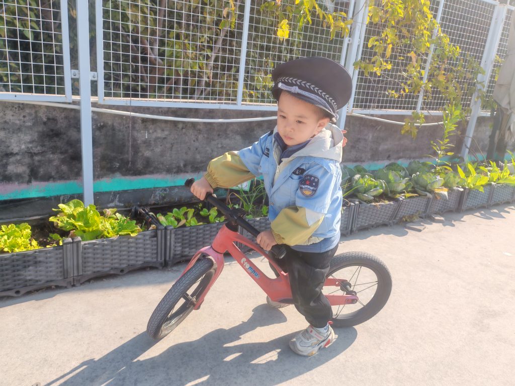 图片[8]-哥哥幼儿园小班活动缩影-清风小筑-雷国胜的个人网站