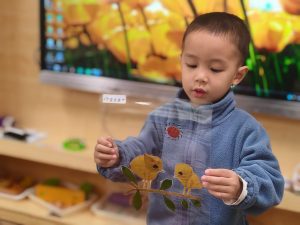 哥哥幼儿园小班活动缩影-清风小筑-雷国胜的个人网站